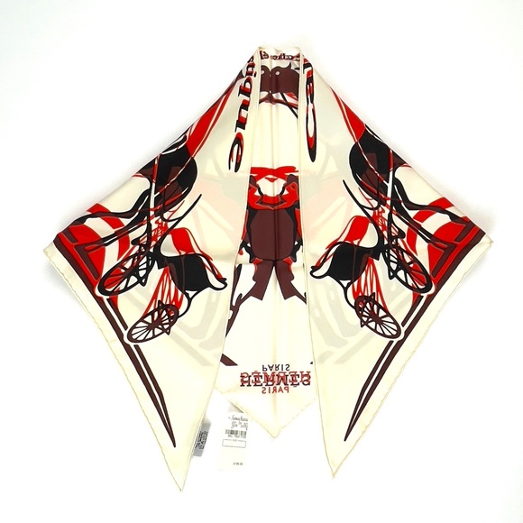 Hermes Accessories - NWT! Hermes Pointu Scarf 3